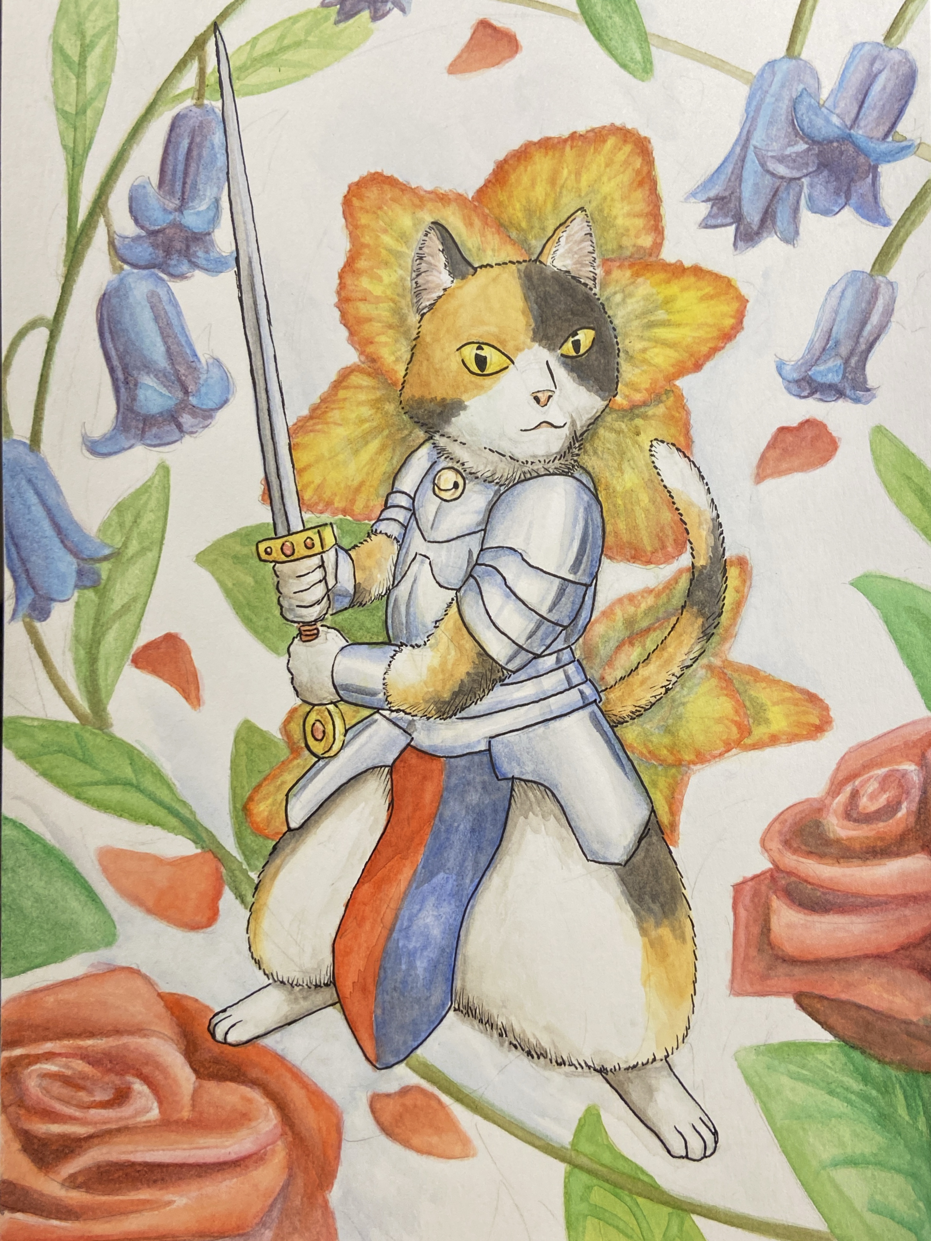 Calico Knight